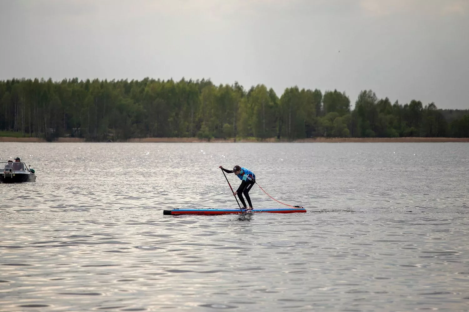 Сапборд надувной Shark Speed+ 14'x26x6 (2025) вид 37