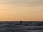 Shark Surf 10.6