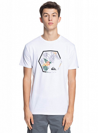 Футболка мужская Quiksilver Fading Out белая