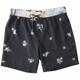 Мужские бордшорты Billabong Sundays LB, черные