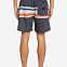Шорты мужские Quiksilver Sun Faded 17 черные вид 3
