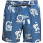 Мужские бордшорты Quiksilver Island Pulse, голубые
