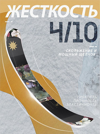 Сноуборд для девушек 23/24 TERRO - LADIES (ростовка 153) вид 8