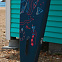 SUP доска надувная Anomy Bakoom 12'6"x28"х4.7" вид 8