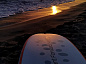 Shark Surf 10.6