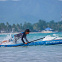 Жесткий сап Starboard Gen R Blue Carbon 14'0" x 27" с чехлом вид 13