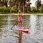 Надувной сапборд Shark Roam Performance All Round Travel 11'6x30x5 (2025) вид 21