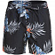 Мужские шорты Quiksilver Paraexpvl15, черные