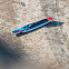 Жесткий сапборд Starboard Generation Lite Tech 14'0" х 26" (2025) вид 8