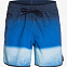 Шорты плавательные мужские Quiksilver Massive Scallop синие