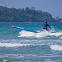 Жесткий сапборд Starboard Gen R Blue Carbon Sandwich 14'0" х 23" с чехлом (2025) вид 13