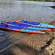 Сапборд надувной Shark Speed+ 14'x26x6 (2025) вид 26