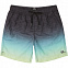 Шорты мужские Billabong All Day Faded Laybacks синие