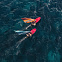 Парус для виндсерфинга Neilpryde Speedster С2, размер 7.7 вид 1